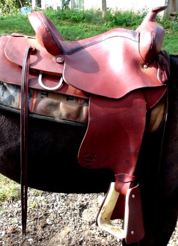 mule saddle